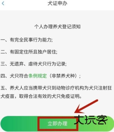 如何办理狗证配图2