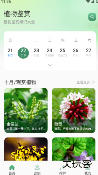 花团锦绣拾光最新版下载