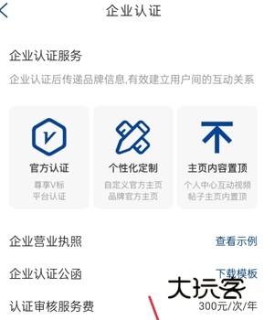 开启企业认证服务方法配图2