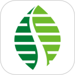 雄安行安卓版下载