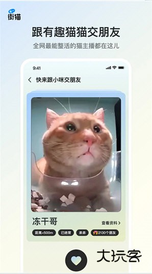 哈啰街猫APP宣传图