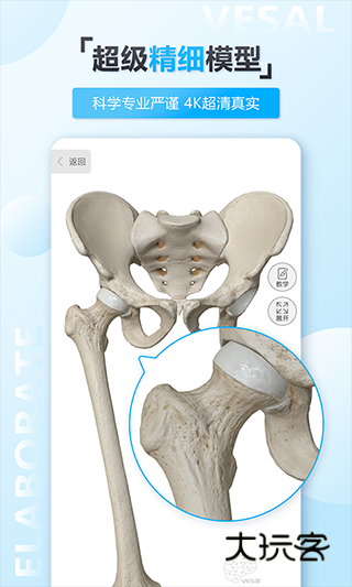 维萨里3D解剖V6.9.7安卓版