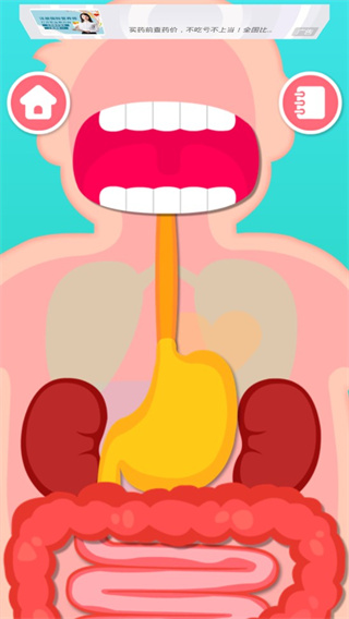 奇妙的身体冒险官方版