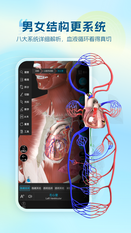 维萨里3D解剖app免费 v6.9.9安卓版