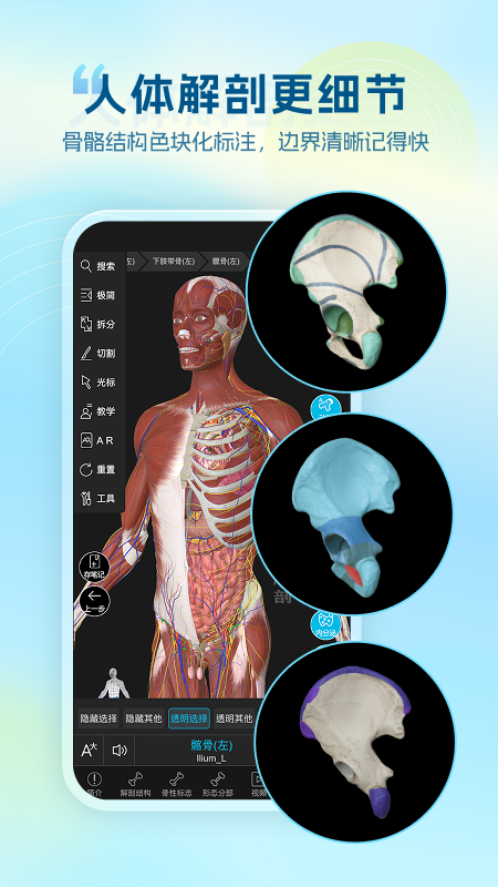 维萨里3D解剖app免费 v6.9.9安卓版