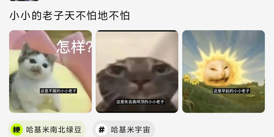 哈基米AI最新版本