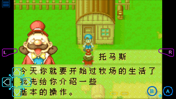 牧场物语矿石镇的伙伴们2013完美版v2.0