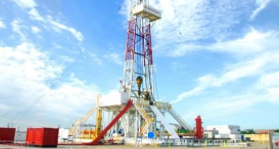 渤钻教培在线培训app官方版