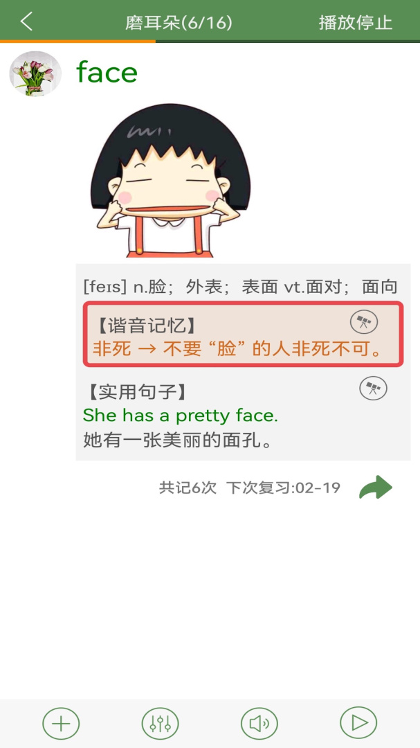 芝麻单词2026优化升级版 v10.8.582.0210