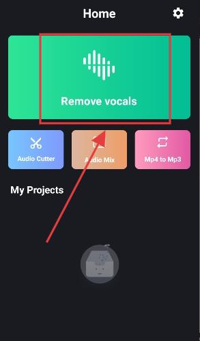 VocalRemover