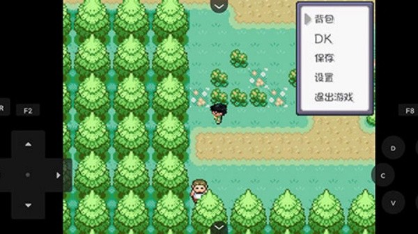 口袋妖怪燃之智5.0手机中文版