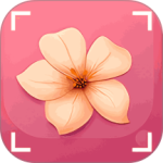 识花君植物识别官方版 v3.9.0安卓版