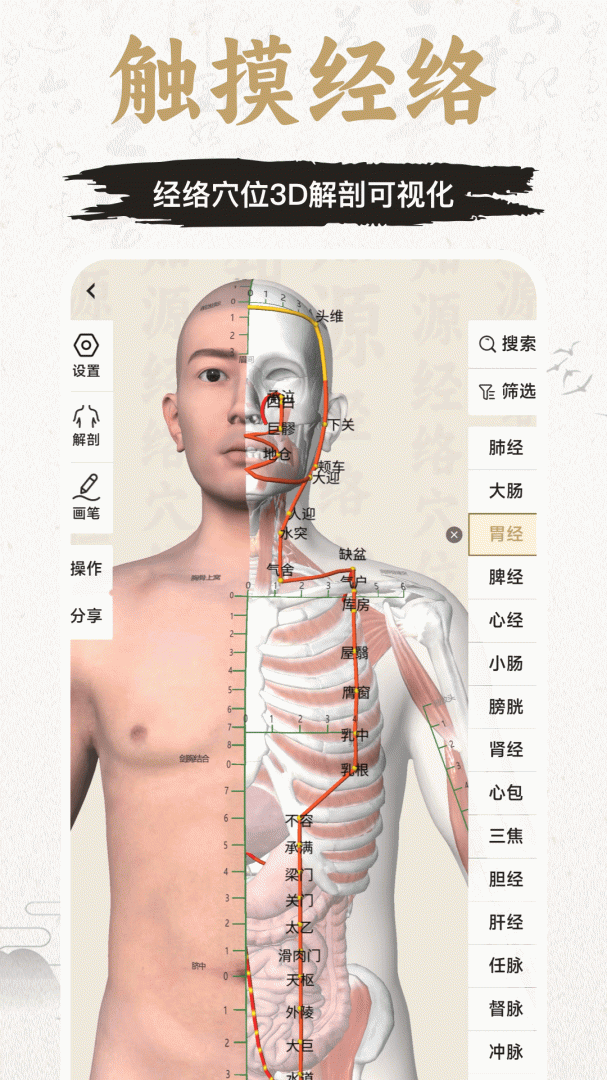 中济经络穴位2026优化升级版 v3.11.0安卓版