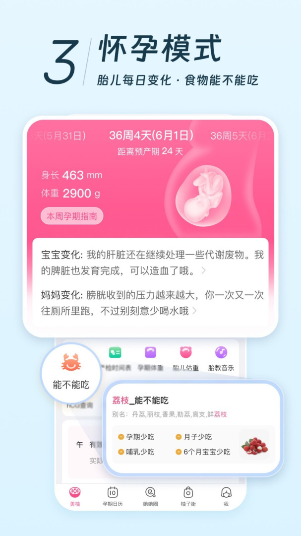 美柚2026优化升级版app v9.02.1.0安卓版