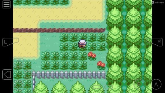 GBA口袋妖怪叶绿金手指2026优化版v2.1.2