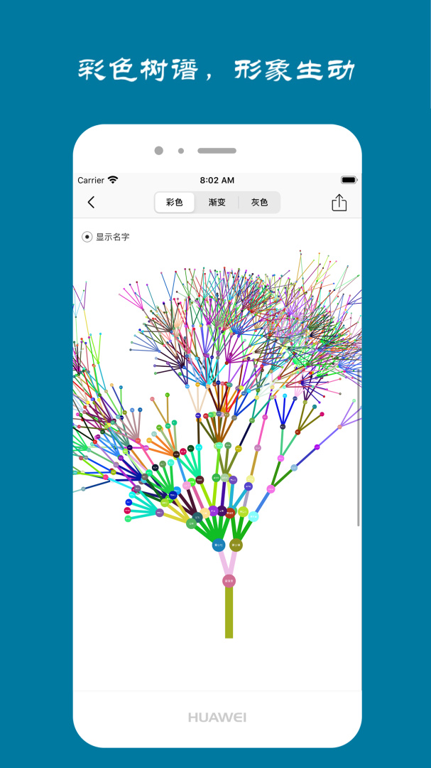 族记2026优化升级版 v7.2.67