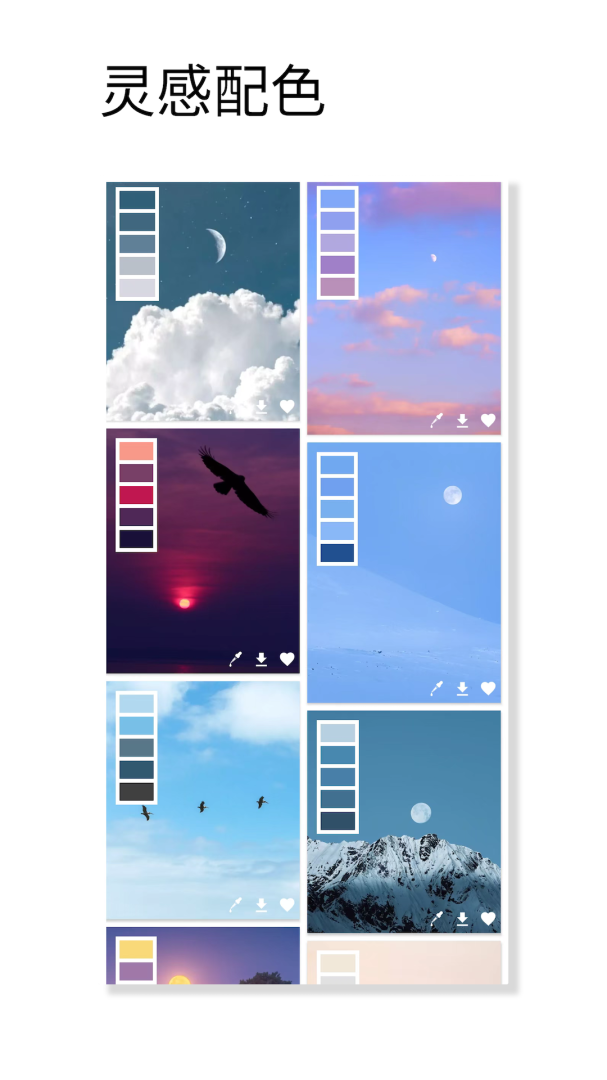 观色配色app官方版 v1.061安卓版