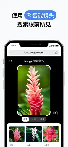 安卓手机google浏览器正版安装包v138.0.7204.168