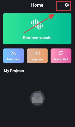 VocalRemover