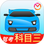 驾考宝典科目三官方安装包获取 v2.4.1安卓版