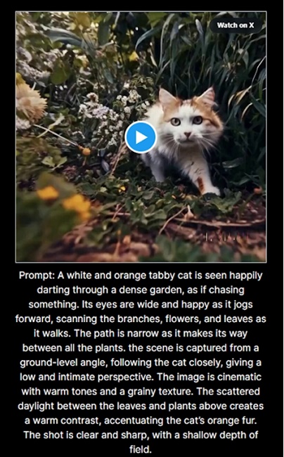 sora2安卓手机版官方安装包v1.2026.007