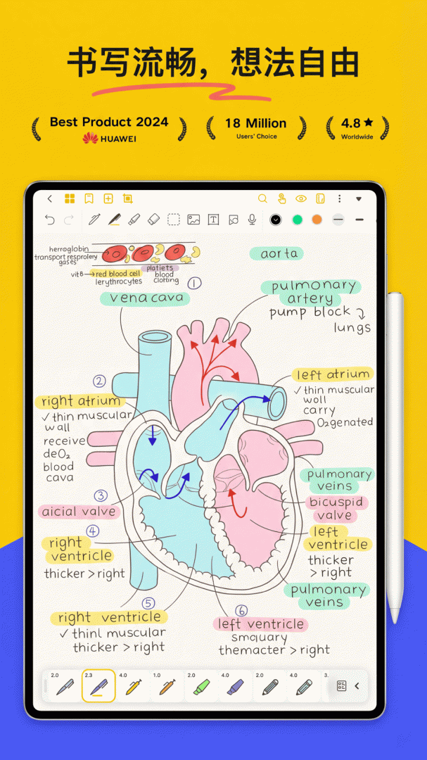 云记官方版2026优化升级版 v3.2.2.4安卓版