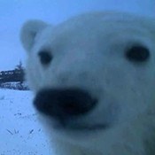 小布换源官方版下载直装v1.7.5