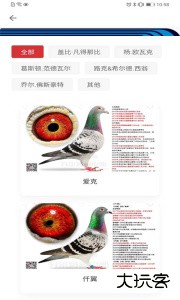 邢小信最新版下载 v5.0.3安卓版