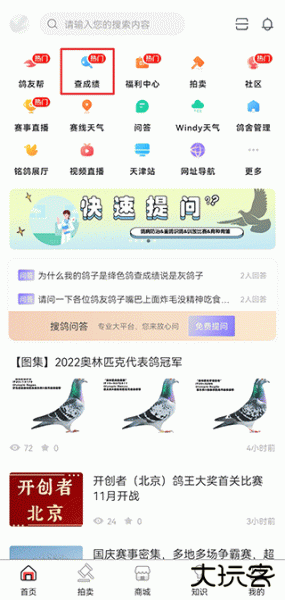 搜鸽网app