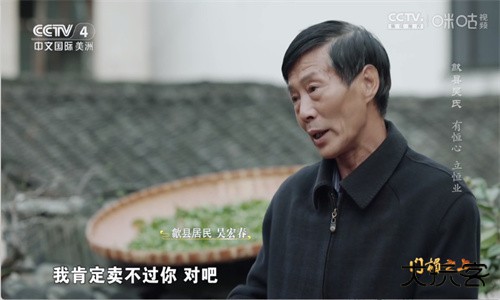 前缘TV安卓版