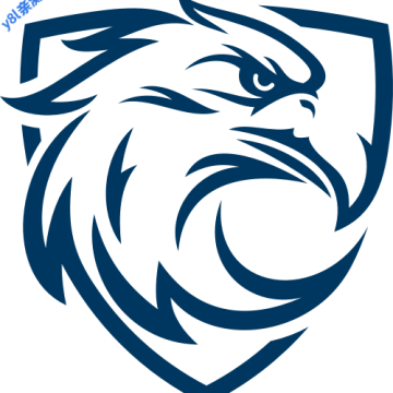 新蓝鹰视频tv官方版