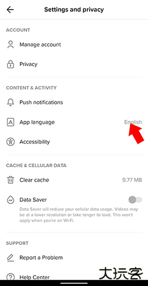 tiktok色板轻量版
