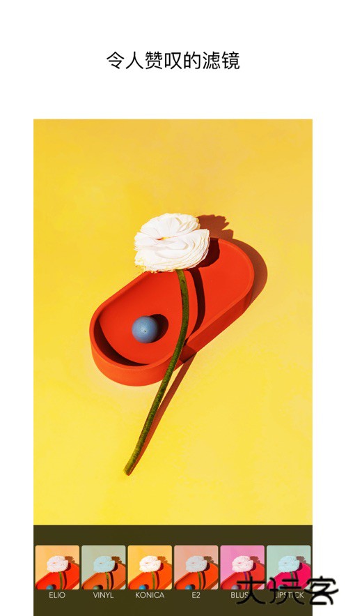 Moldiv安卓版免费下载