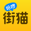 哈啰街猫官方版