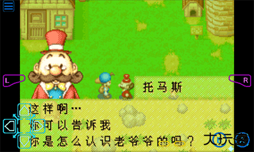 牧场物语矿石镇的伙伴们下载