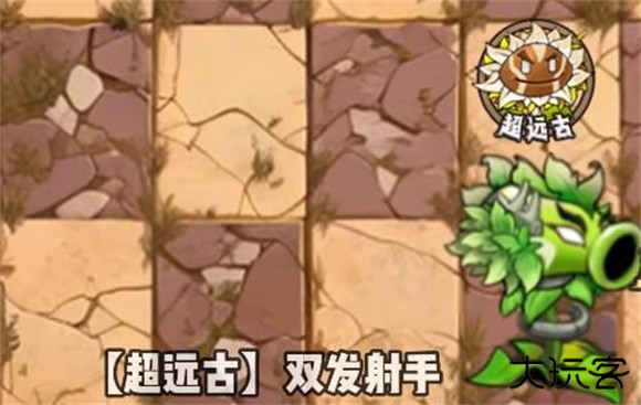 植物大战僵尸神奇植物版