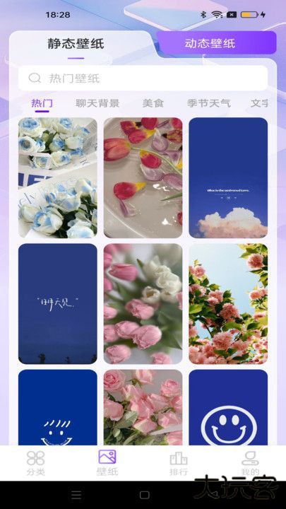 元汽动态壁纸V1.0.1下载