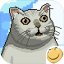 大千世界最新版下载