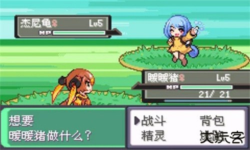 口袋妖怪漆黑的魅影手机版