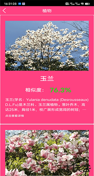 拍照识花神器app