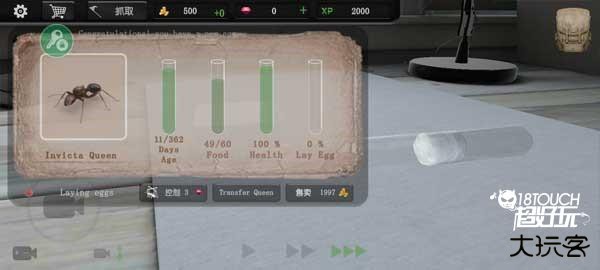 蚂蚁模拟大亨新手攻略截图8