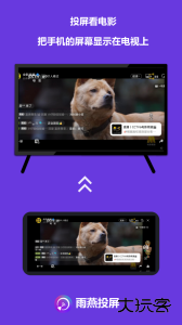 雨燕投屏手机版下载 v6.1.17.9安卓版