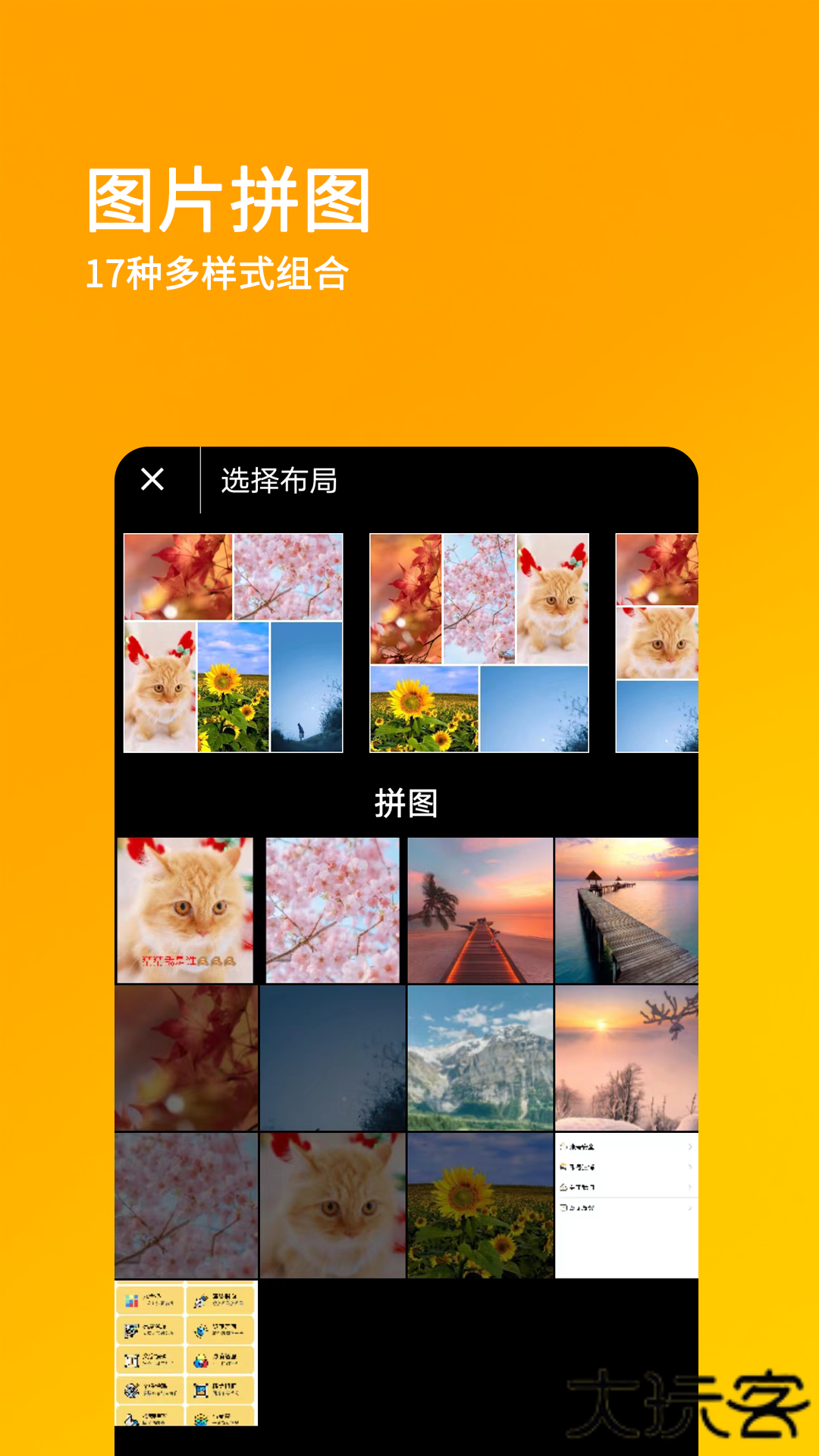 刷圈兔无水印版免费下载