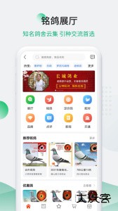 中国信鸽信息网官方版客户端下载 v20260206安卓版