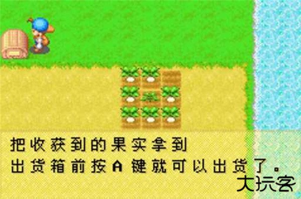 牧场物语矿石镇的伙伴们最新版下载