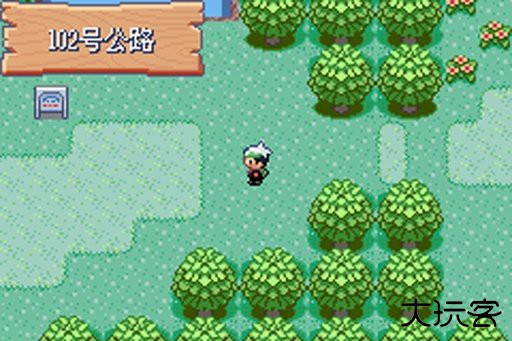 口袋妖怪绿宝石增强版