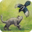 米洛和喜鹊最新版下载