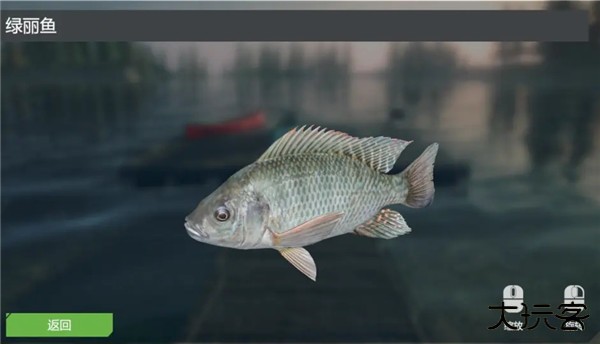 终极钓鱼模拟器无限金币版游戏攻略6