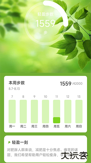 轻盈计步安卓版