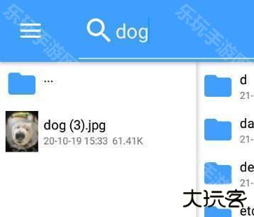 NP管理器最新版